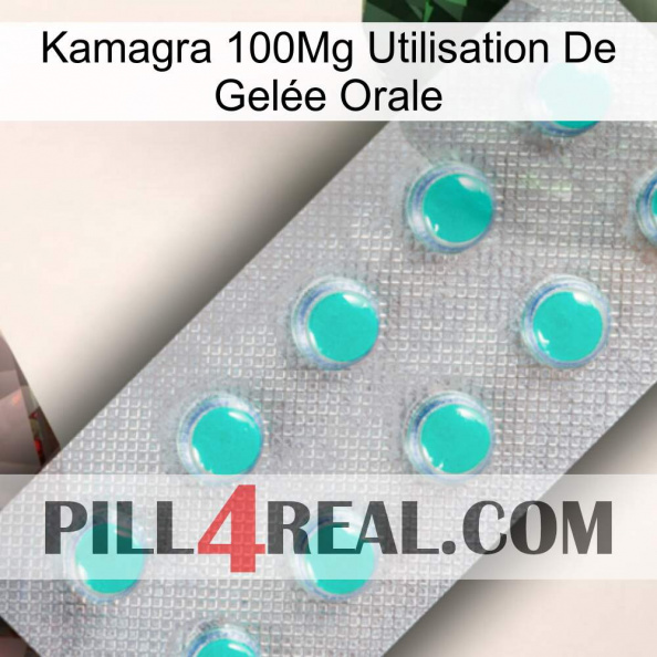 Kamagra 100Mg Utilisation De Gelée Orale 28.jpg